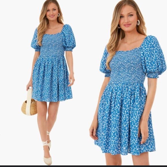 Tuckernuck Dresses & Skirts - Tuckernuck Hyacinth House Blue Ditsy Floral Pai Mini Dress Size Small